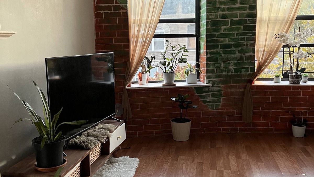 Upper Manhattan Apartment | Bright studio in Hamilton Heights