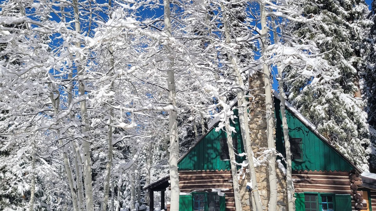 Salt Lake Mountain Resorts Cabin | Brighton Log Cabin. Close to lifts! Free parking.n