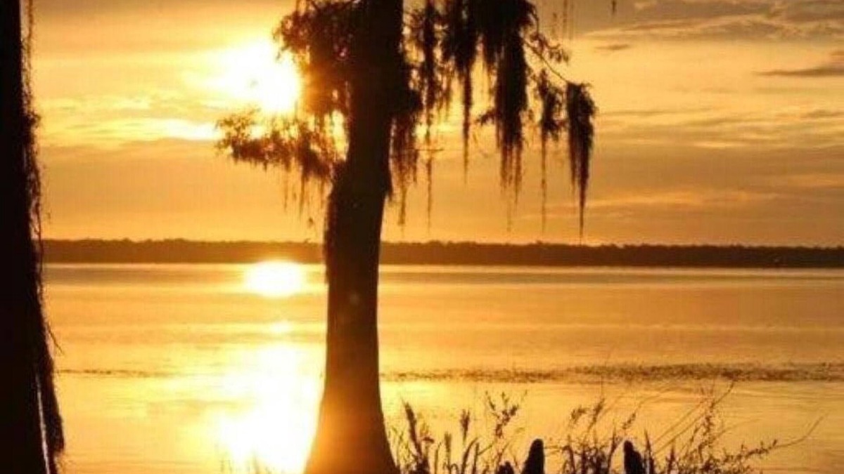 Palatka House | Bring your Boat to our River House and enjoy the beautiful St Johns River.