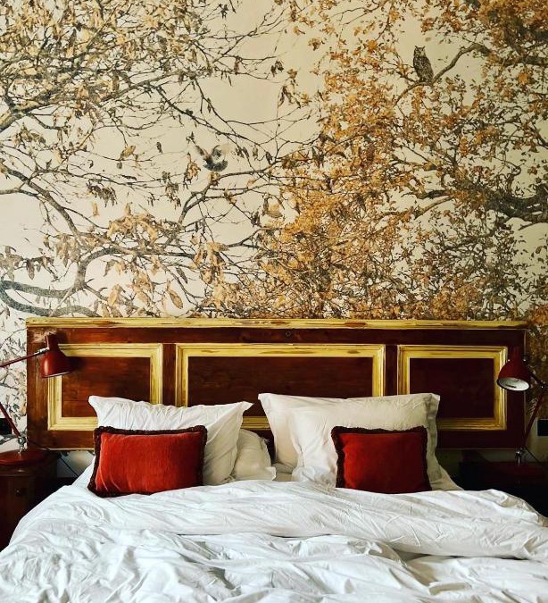 Palace District Hotel | Brody House - boutique hotel