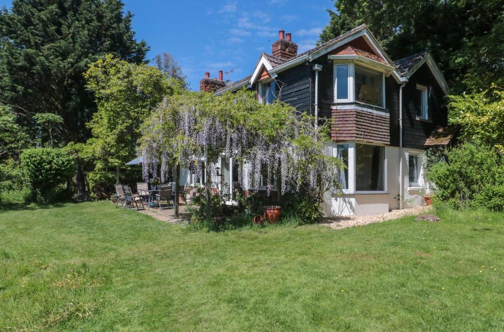 New Forest District House | Brook Farm