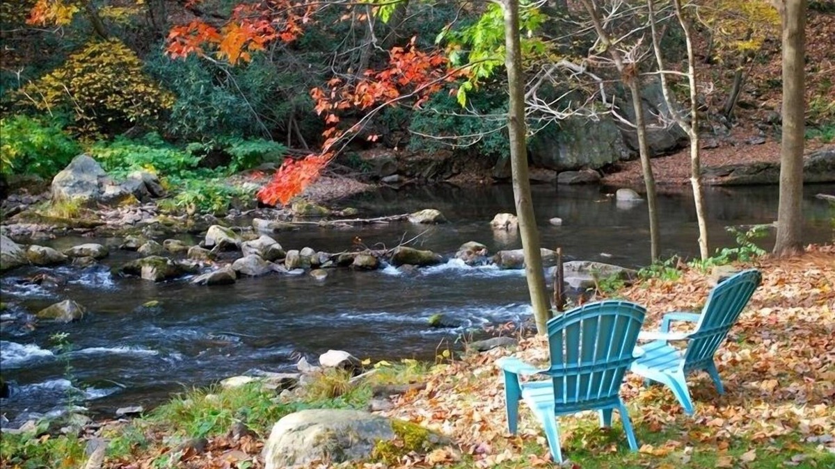 Swanton Cabin | Brownie Cottage on Savage River, Fly Fishing, Skiing, Near Deep Creek Lake