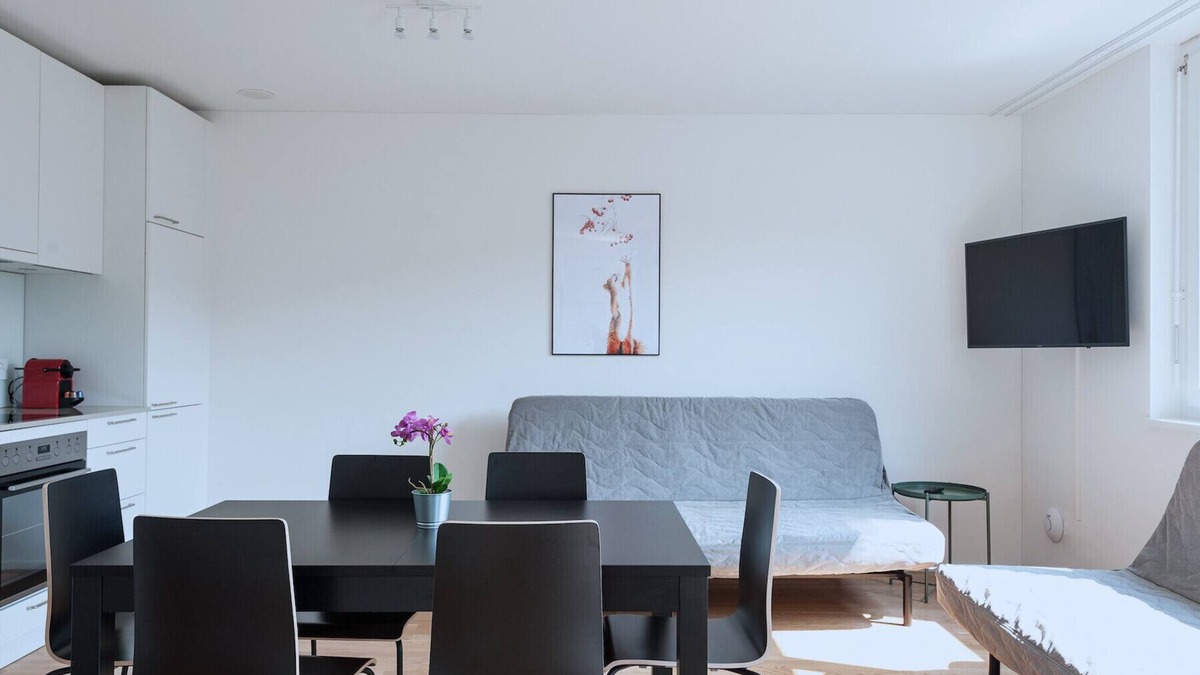 Basel City Centre Apartment | BS Wolf IV - Messe HITrental Apartment