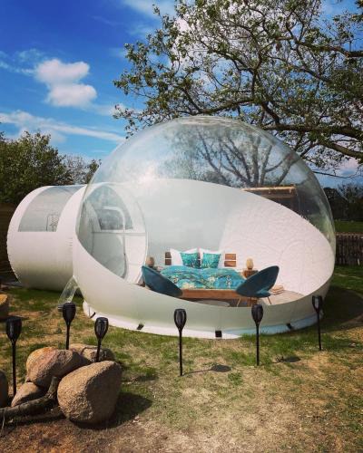 Altlandsberg Other | Bubble Tent Berlin by Reindahls