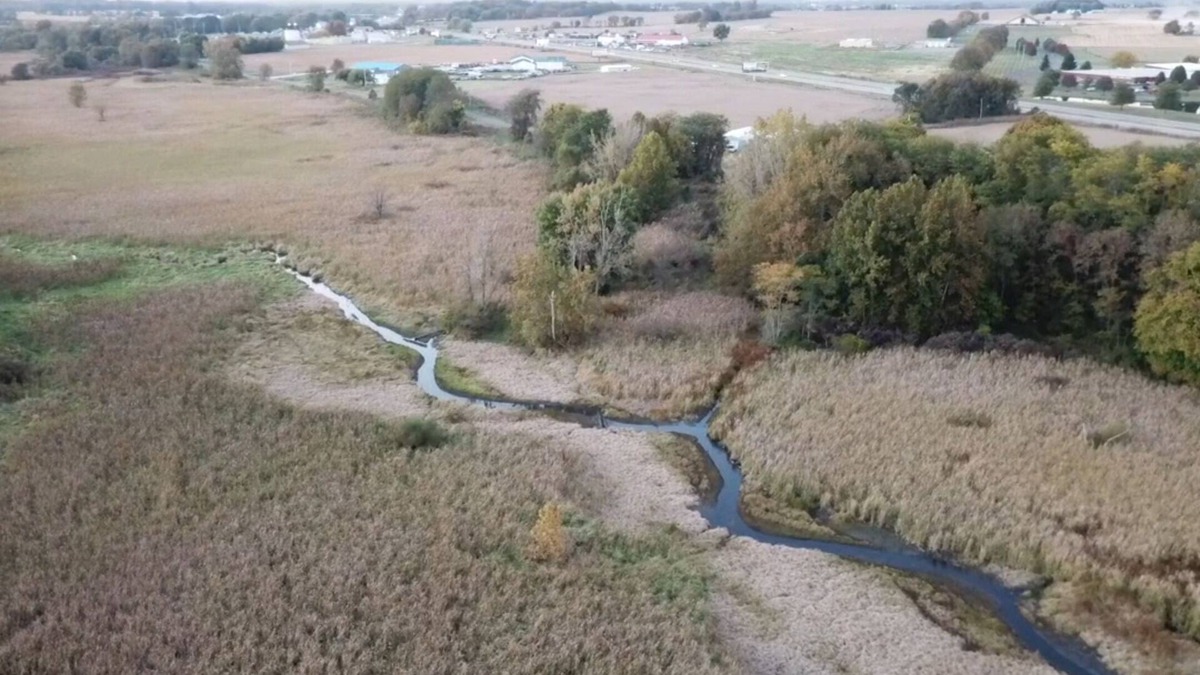 Carroll Condo | Buckeye Marshside BungalownInviting Apartment Getaway with Marshland Views.