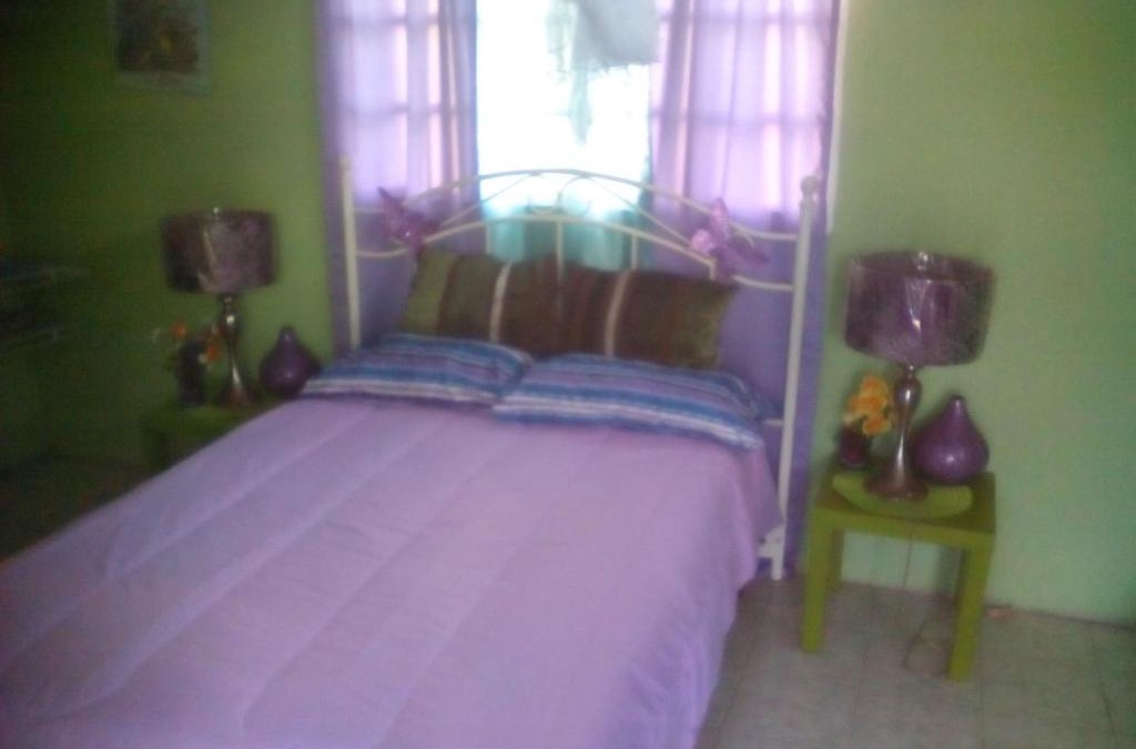Buff Bay House | Buckingham Villa - Full Suite Kitchenette-Wet Bar- Balcony