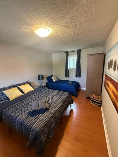 Vaughan House | Budget Stay For Travellers to Canada Wonderland,Toronto