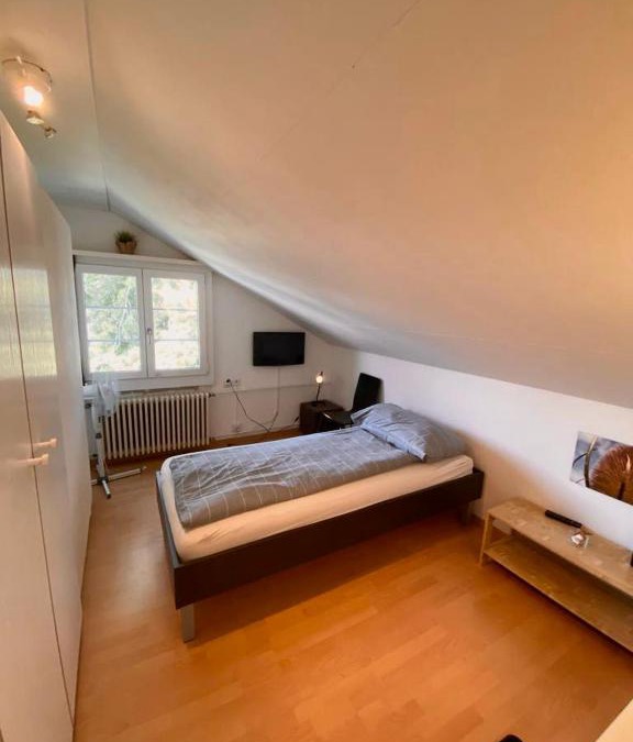 Arbon Apartment | Budgetapartment Zeppelin von Swisspartments