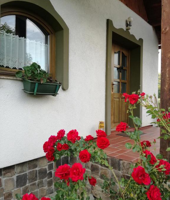 Bradesti Villa | Buena Vista
