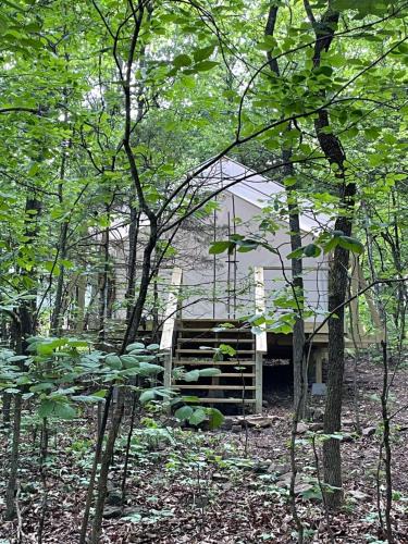 Compton Other | Buffalo River Glamping