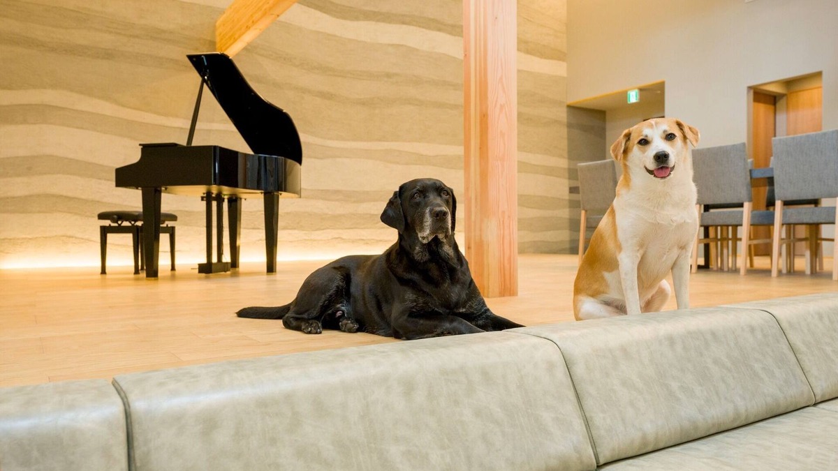 Kominato Onsen House | Building A Pets allowed SuiteWith pool terrace and sauna/Kamogawa City Chiba
