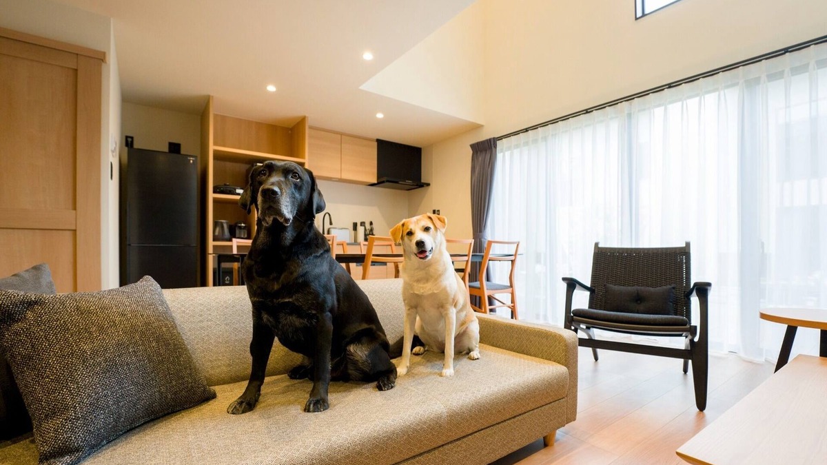 Kominato Onsen House | Building Dpets allowed maisonette with terrace and sauna/Kamogawa City Chiba