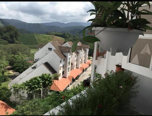 Bukit Tinggi Apartment | Bukit Tinggi Fuchsia Hillhomes
