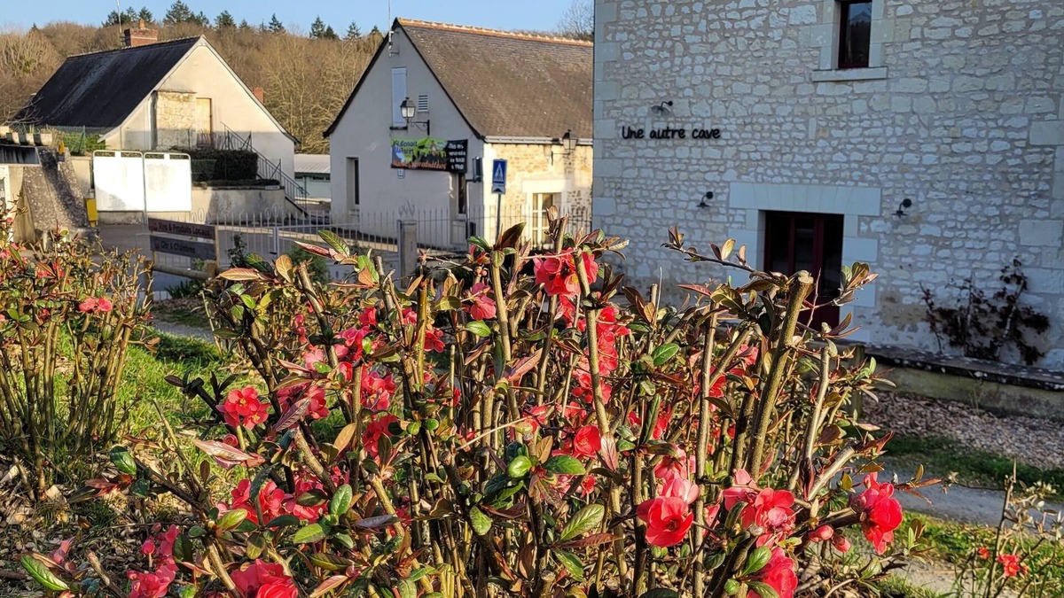 Saint-Benoit-la-Foret House | Bulle de campagne