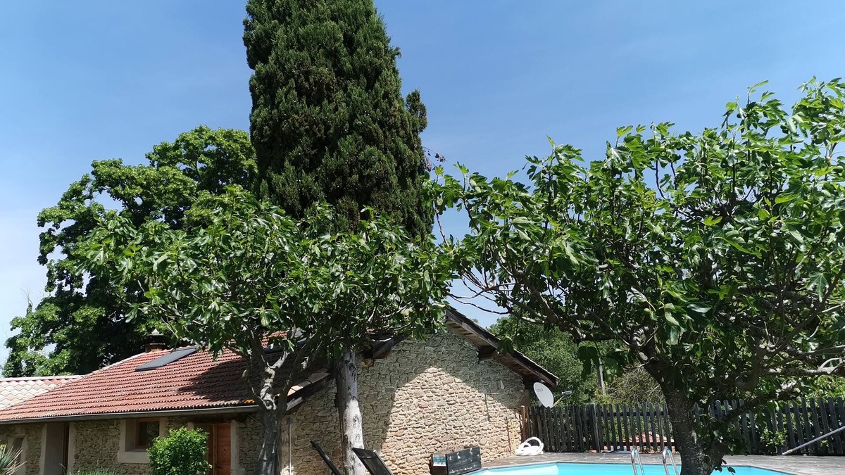 Charmes-sur-l'Herbasse Apartment | Bulle de nature- typical Drôme des collines gîte