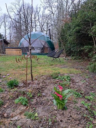 Philippeville Other | Bulle des Fagnes