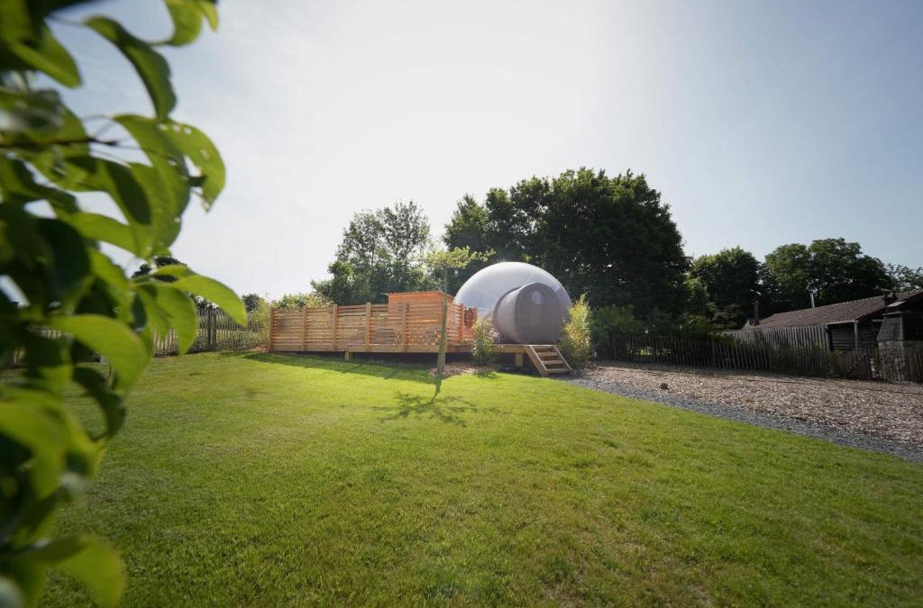 Paliseul Cabin | Bulles Odette & Ginette et Tiny House Suzette "Au guet Marais" Etape Insolite