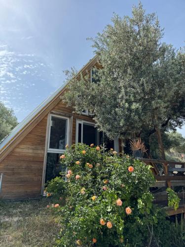 Karaburun House | Bungalow-8 in Karaburun Boyabağ Bay