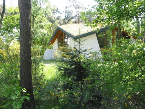 Herpen House | Bungalow in Herperduin with Private Garden