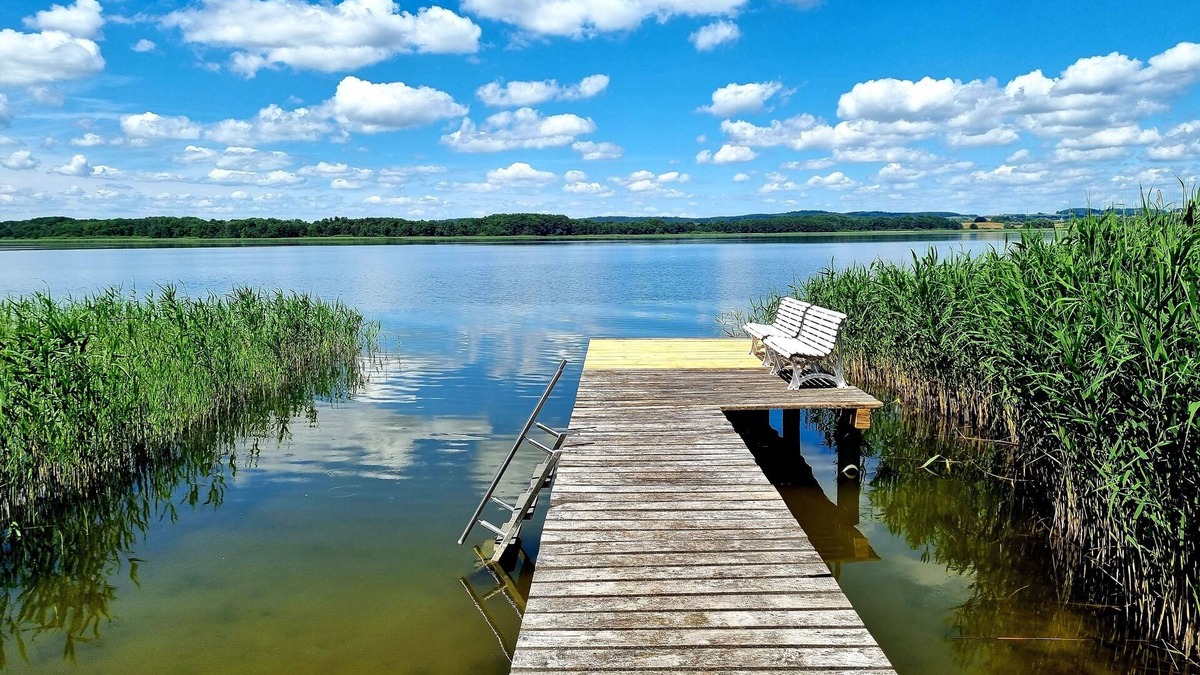 Malchin House | Bungalow incl. boat directly on the lake