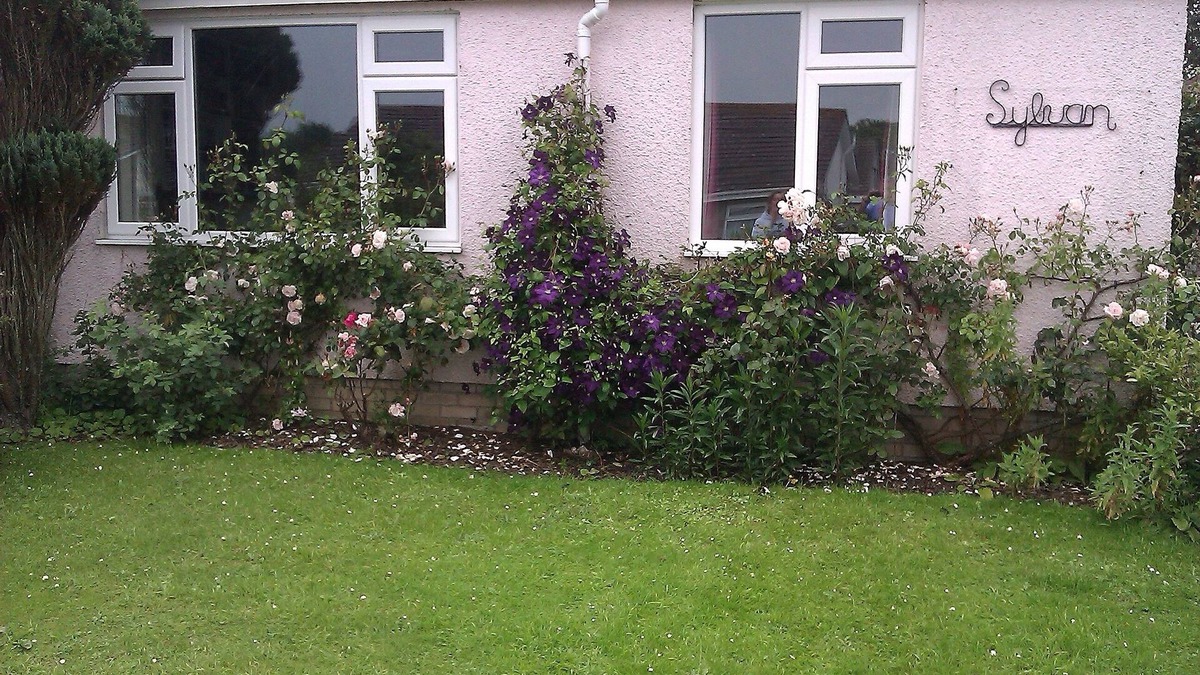 St Davids House | Bungalow, Very Close To The Centre Of St. Davids And In A Quiet Cul-De-Sac