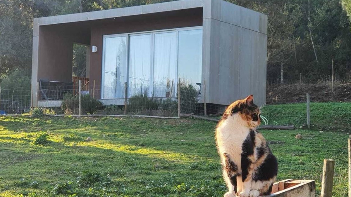 Casal de Ermio House | Bungalow your refuge in the Serra da Lousã | Nature, Adventure & Tranquillity.