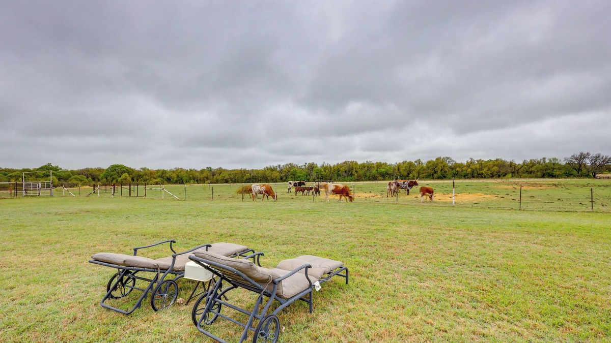 Comanche County Apartment | Bunkhouse on Working Texas Ranch w/Horses & Cows!