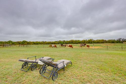 Comanche County Apartment | Bunkhouse on Working Texas Ranch with Horses and Cows!