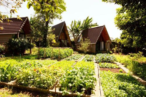 Buon Ma Thuot House | Buon'S garden