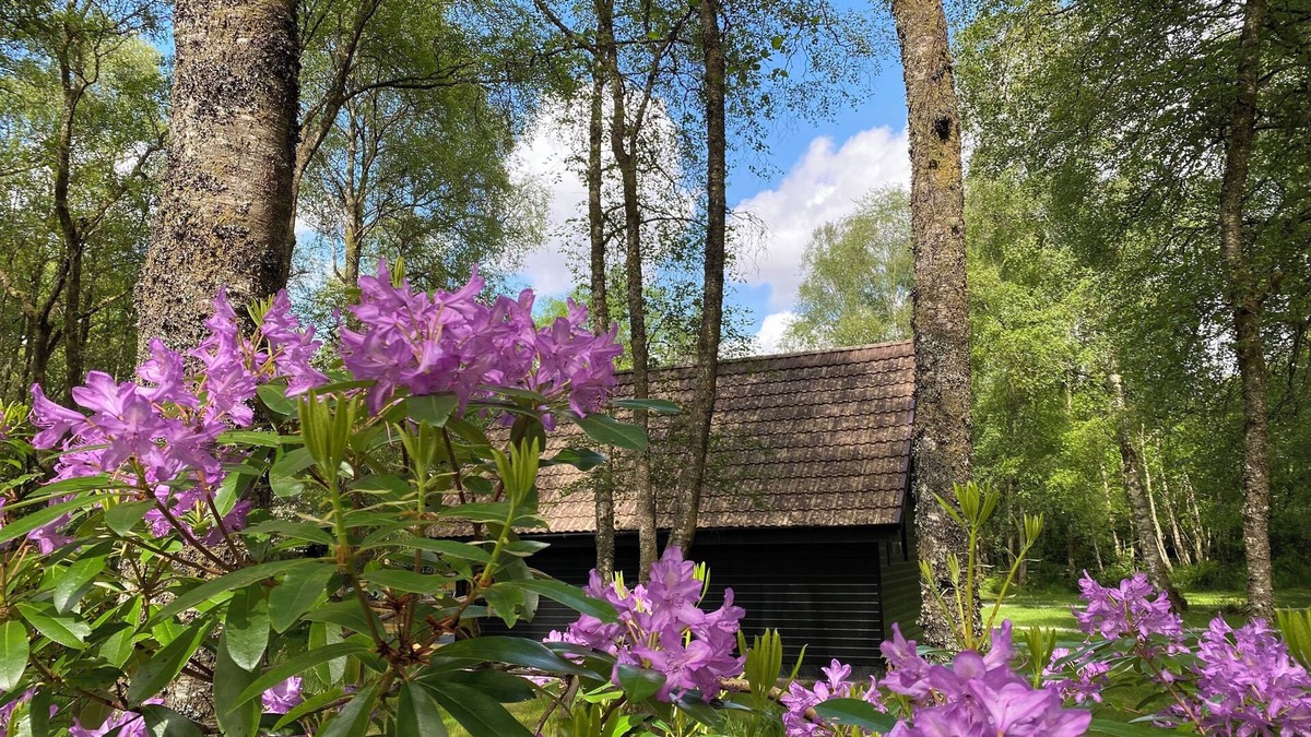 Spean Bridge Cabin | Burnbank Lodges