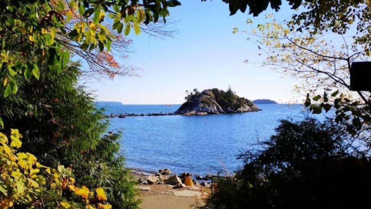 Coquitlam House | Burquitlam 1BR guest suite with fantastic view