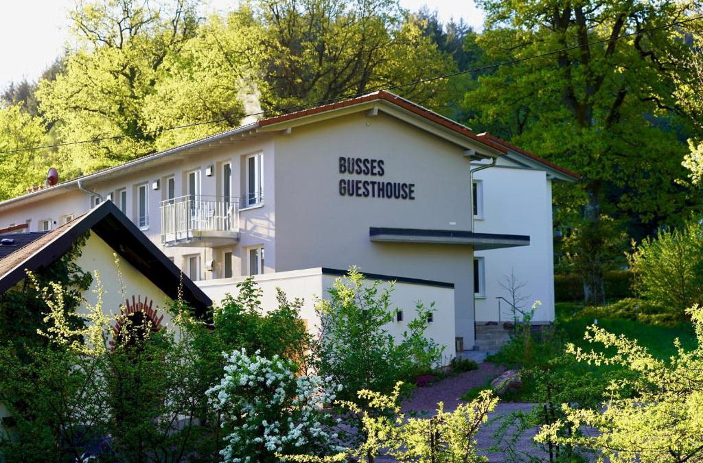 Waldsee House | Busses Guesthouse