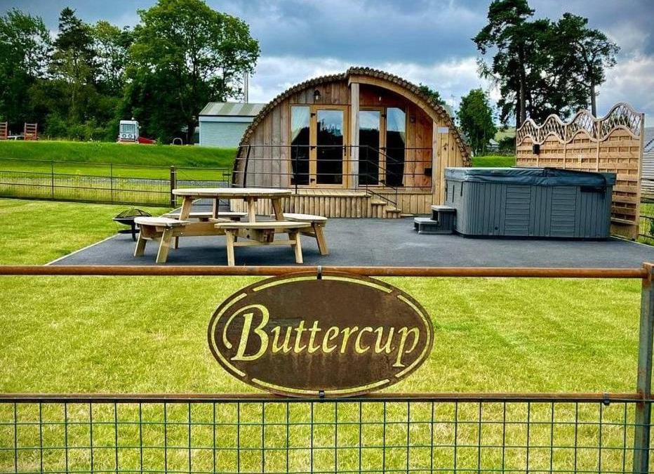 St Harmon House | Buttercup