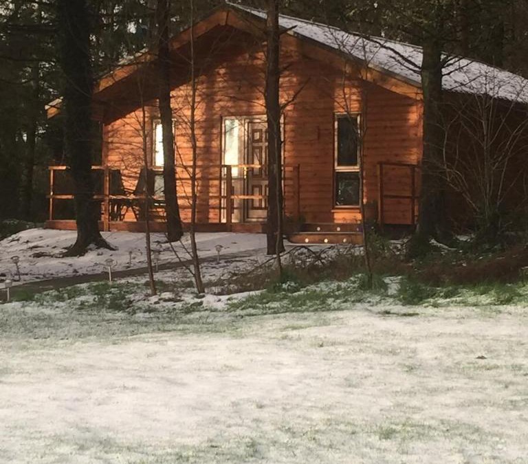 Annacotty Cabin | Butterfly cabin