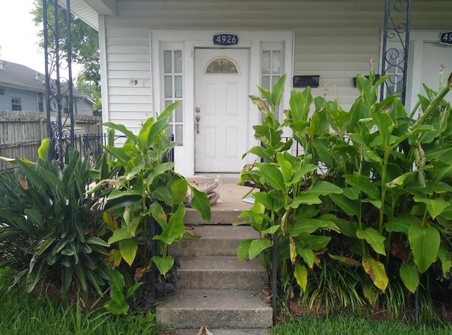Gentilly Terrace Apartment | Buttermilk Drop in Gentilly