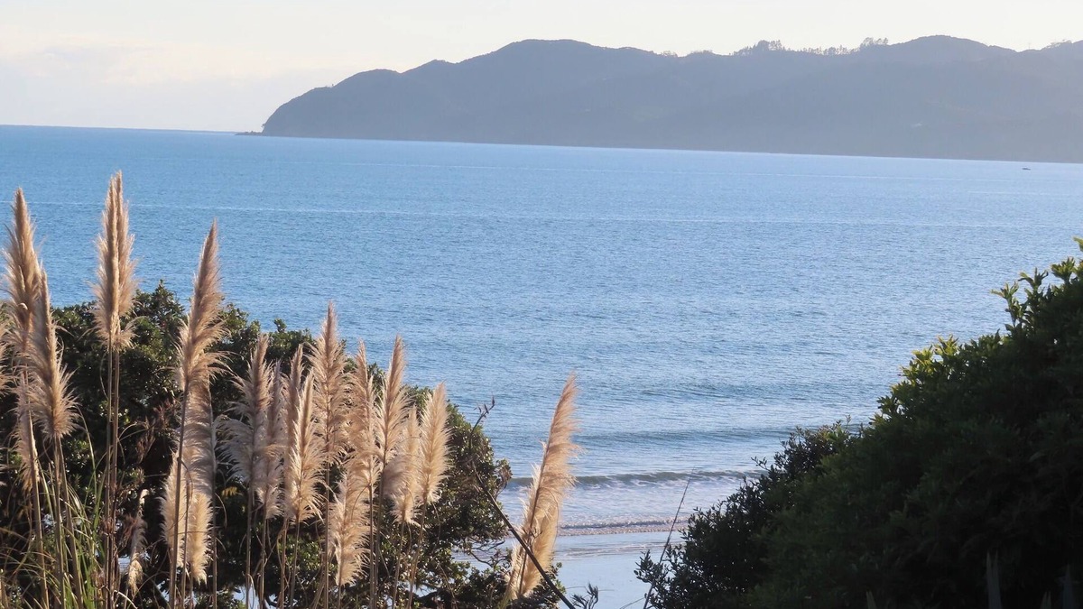 Coopers Beach Apartment | By The Sea Coopers Beach Apartment overlooking the beautiful Bay