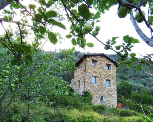 Isolabona House | Cà Panù