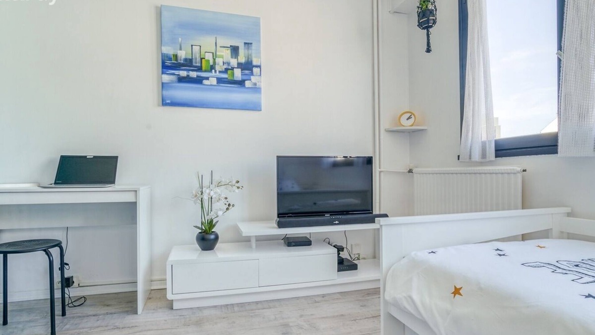 Limoges Apartment | Céanothe-inviri. Studio Mairie. Parking Privatif