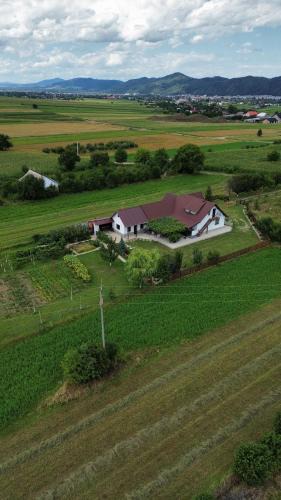 Grumazesti House | Căsuța din Deal