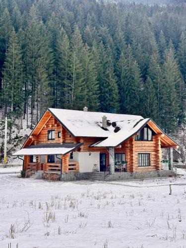Brosteni House | Căsuța ta de la munte