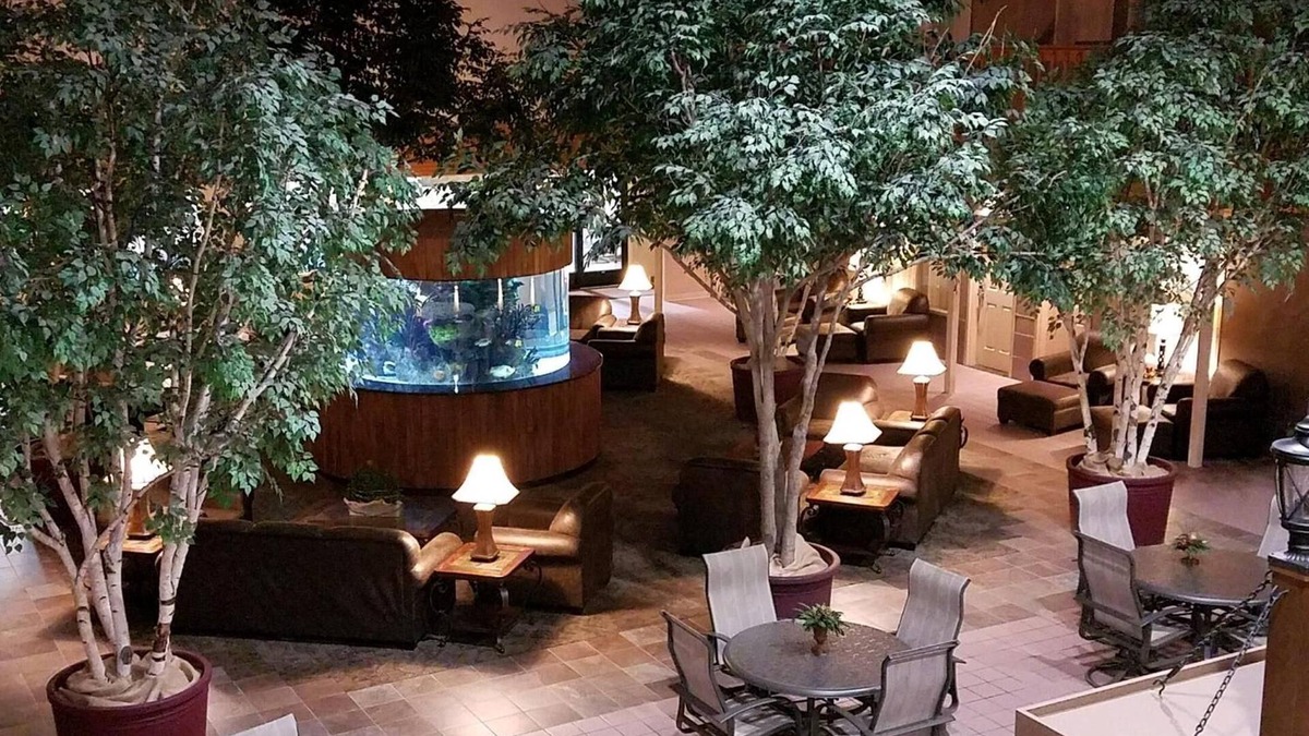Thief River Falls Hotel | C'mon Inn Thief River Falls
