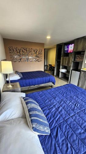 Ciudad Lopez Mateos Apartment | C3-S10 DOUBLE EXECUTIVE SUITE at ITESM CEM Tourists & Travelers Choice Foreign Students Families Companies Executives WELCOME! 10min Izcalli-15min Esmeralda-20min Sátelite-25min AIFA