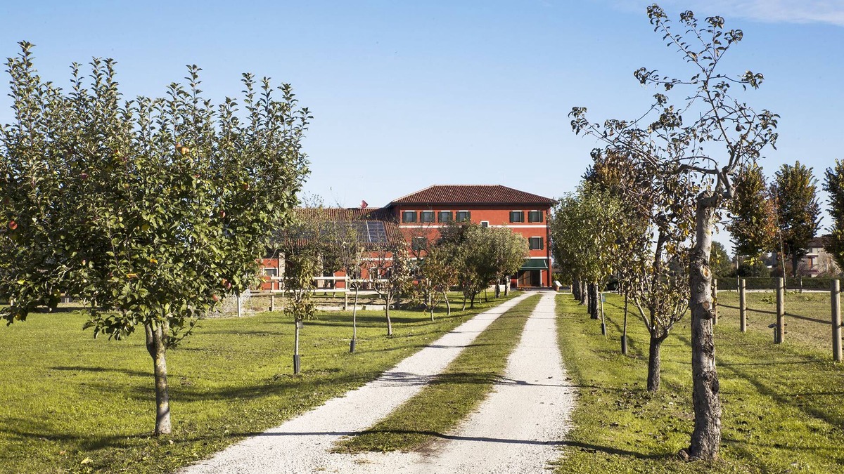 Chiarano Bed & Breakfast | Ca' Ciaran