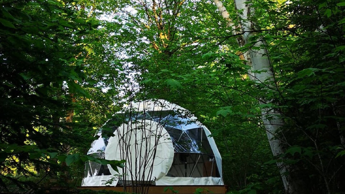 Notre-Dame-Auxiliatrice-de-Buckland Cabin | Dôme Forestier: Glamping, nature, stars, comfort, shared kitchen, CITQ304716.