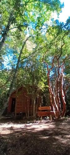 Pucon Apartment | Cabaña Arrayan