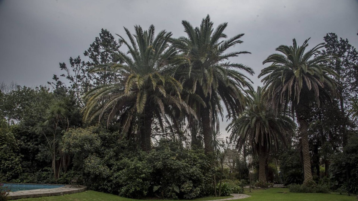 Maquinista F. Savio House | Cabaña El Carril en Ing. Maschwitz, Escobar, Buenos Aires