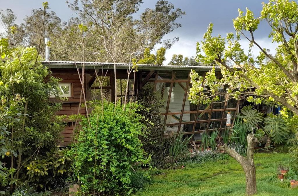 Los Acantilados House | Cabaña el colibri