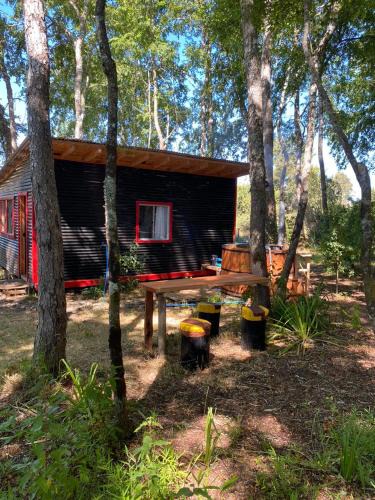 Carahue House | Cabaña en el bosque