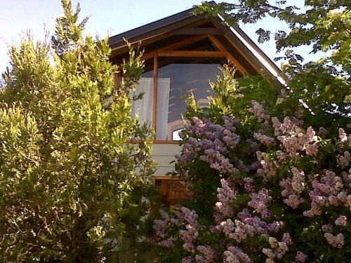 Villa Los Coihues House | Cabaña Entre Lagos y Montañas