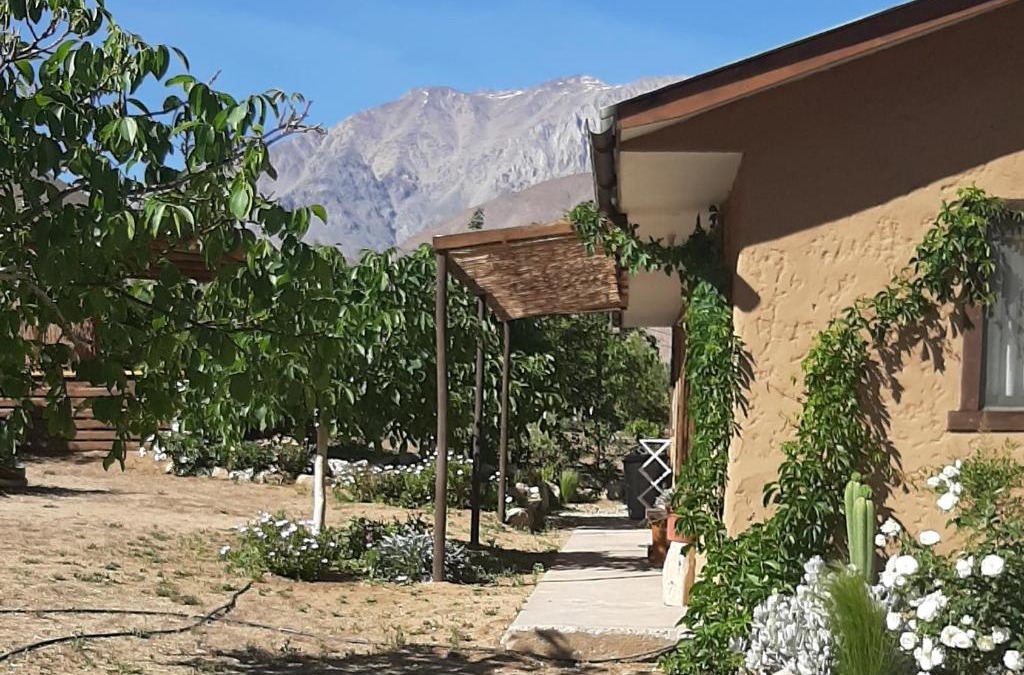 Horcon Apartment | Cabaña entre Nogales